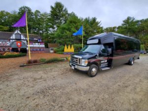 Maxi Party Bus - 18 to 24 passengers