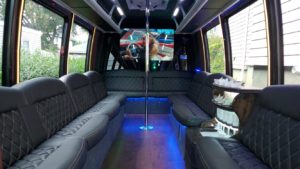 VIP Party Bus
